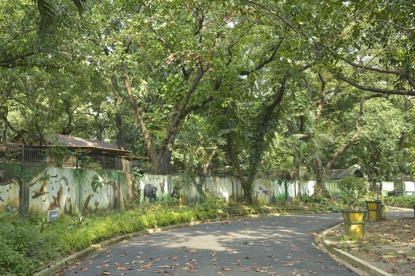 Quezon City Oct Parc Aquatique Ninoy Faune Autour Des Arbres — Photo