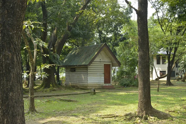 Quezon City Oct Ninoy Aquino Parks Wild Surrounding Trees October — Φωτογραφία Αρχείου