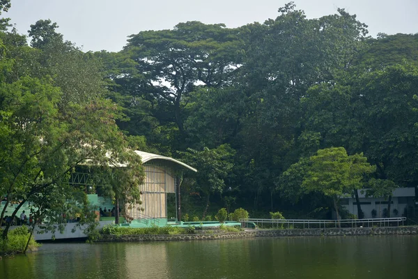 Quezon City Październik Parki Ninoy Aquino Laguna Wodna Dzikiej Przyrody — Zdjęcie stockowe