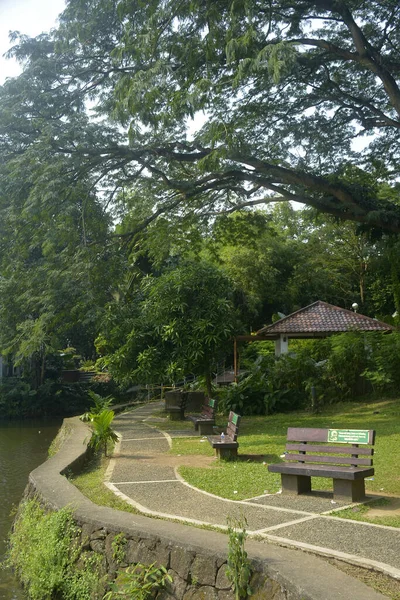 Queon City Oct Ninoy Aquino Parks Wildlife Path October 2018 — стоковое фото