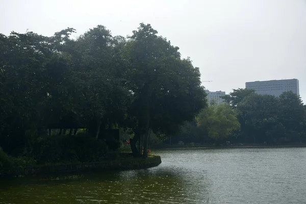 Quezon City Oct Ninoy Aquino Parks Wildlife Water Lagoon October — 图库照片