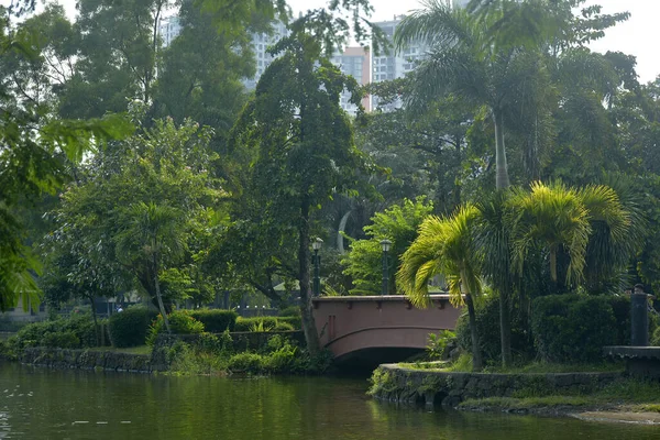 Quezon City Oct Ninoy Aquino Park Wildlife Water Lagoon Bridge — 스톡 사진