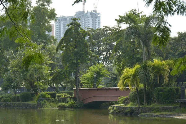 Quezon City Oct Ninoy Aquino Parky Divoká Zvěř Vodní Laguna — Stock fotografie