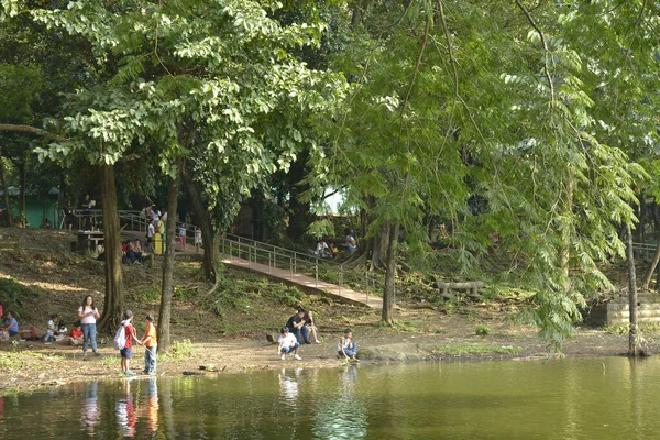 Quezon City Październik Parki Ninoy Aquino Laguna Wodna Dzikiej Przyrody — Zdjęcie stockowe