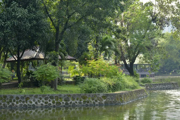 Quezon City 10月6日 フィリピンのケソン市で2018年10月6日にナイニー アキノ公園と野生動物用ウォーターラグーン — ストック写真