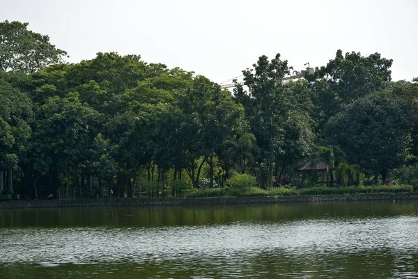 Quezon City Oct Parques Aquinos Ninoy Lagoa Água Vida Selvagem — Fotografia de Stock
