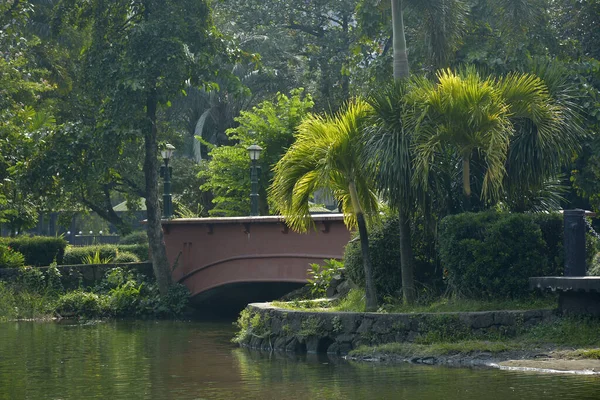 Quezon City Oct Ninoy Aquino Parks Wildlife Water Lagoon Bridge — 图库照片