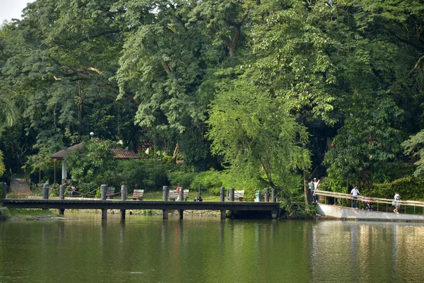 QUEZON ŞEHRİ, PH-OCT 6 Ninoy Aquino Parkları ve Vahşi Yaşam Su Gölü 6 Ekim 2018, Quezon City, Filipinler.