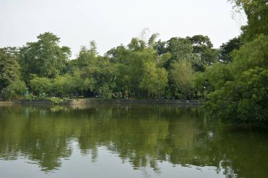 QUEZON ŞEHRİ, PH-OCT 6 Ninoy Aquino Parkları ve Vahşi Yaşam Su Gölü 6 Ekim 2018, Quezon City, Filipinler.