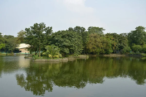 Quezon City Oct Ninoy Aquino Parks Wildlife Water Lagoon October — 图库照片