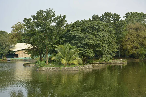 Quezon City Oct Ninoy Aquino Parks Wildlife Water Lagoon Жовтня — стокове фото