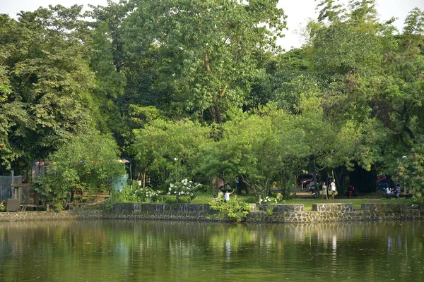 Quezon City Oct Parques Aquinos Ninoy Lagoa Água Vida Selvagem — Fotografia de Stock