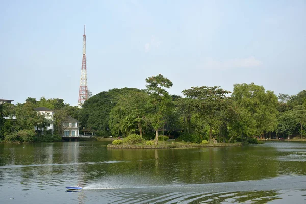 Quezon City Październik Parki Ninoy Aquino Laguna Wodna Dzikiej Przyrody — Zdjęcie stockowe