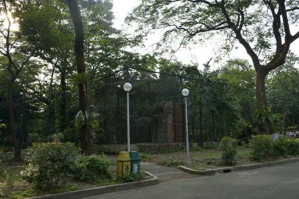 Quezon City Oct Ninoy Aquino Parks Wildlife Surrounding Trees October — 图库照片