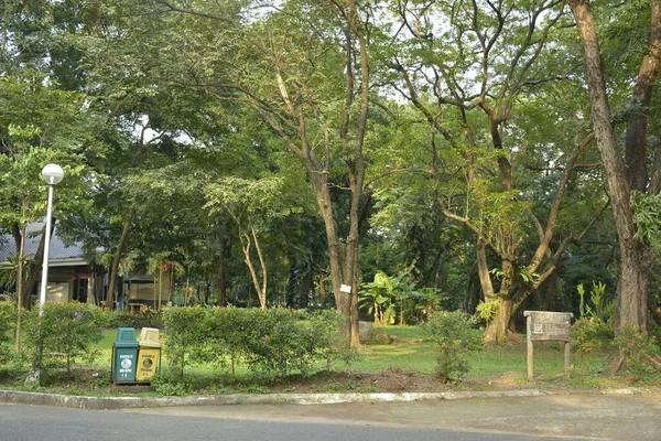 Quezon City Oct Ninoy Aquino Parks Und Wildtiere Rund Bäume — Stockfoto