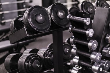spor salonu, ağırlıkları ve farklı ağırlıklarda halter ile raf