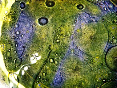 Mavi dokulu plaka soyut yağ lekeleri, damla, kabarcıklar su yüzeyinde. Alt tabakada ışık ışınlarının düşük açıda yağ desenleri gölgeler vardır. yakın kapatın. Sığ odak. doku arka planı.