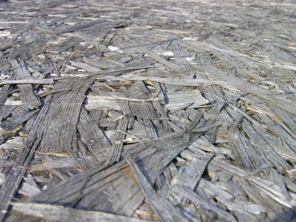 Güneş'e hafif bir açıyla eski yonga levhası. Bu yaprak yağmurda uzun süre yatmıştır, rüzgar, kavurucu sıcak, hepsi solmuş, çatlamış, neredeyse çürümüş. Fareler ve böcekler üzerinde, sümüklüböcekler, odunluk, toprak solucanları (onların barınak) altında yerleşmiş çalıştırın.