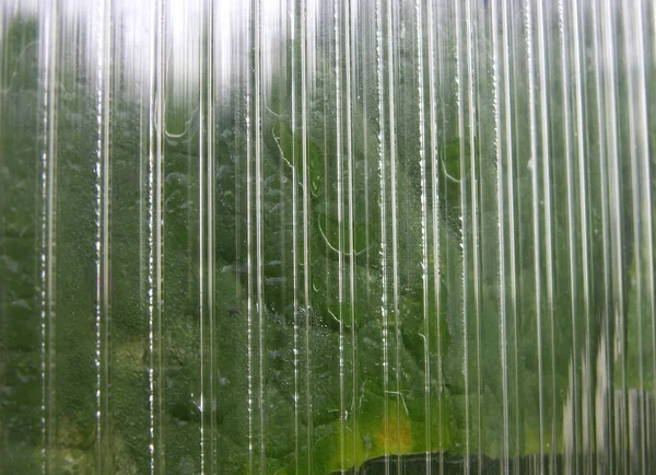 Farklı yoğuşmalı polikarbonattan yapılmış sera duvarı. Polikarbonatta ışığın çeşitli kırılması ve yansıması. bir yerlerde sera bitkileri pusuda. soyutlama, doku arka plan. sığ odak. Makro.