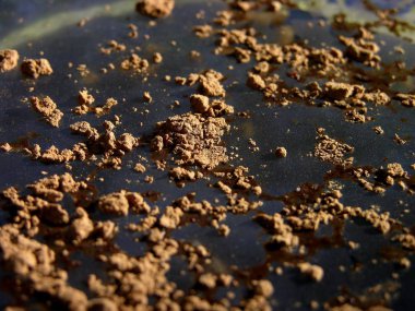 su yüzeyinde kakao tozu. yakın kapatın. sığ odak.