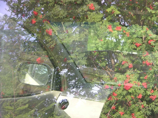 araba cam dış ve iç yüzeylerden dağ külü yansımaları dayatma, artı arabanın iç görünümü, artı cam üzerinden görünümü, yani, arabanın arkasında.