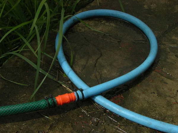 blue loop of rubber hose on the wet concrete.