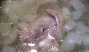 Mavi ışık kaynaklarından yağ ve parlama damlaları ile tavuk başları suyu. Tavuk Beyaz Walkers, kış (alegorik) yakındır. Makro. farklı parçalar üzerinde sığ odak. 