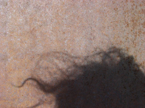 금속의 반짝이는 표면과 바람에 머리카락의 흐릿한 그림자 흐릿한 — 스톡 사진
