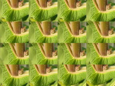 Sonbaharda yaton sapının orta kısmının birkaç resminin arkaplan resmi (matris analogu). Dekoratif çerçeve için ön form.