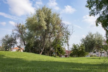 Mavi berrak gökyüzü güzel manzara doğal dokular, sarı yaprakları bahar doğal renkli, yeşil ağaç yaprak çiçek su doğa bahçe duvar kağıdı arka plan