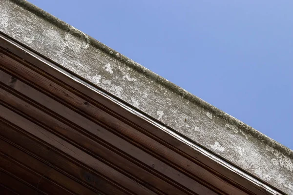Concrete roof, under wood, sky above — Stock Photo, Image