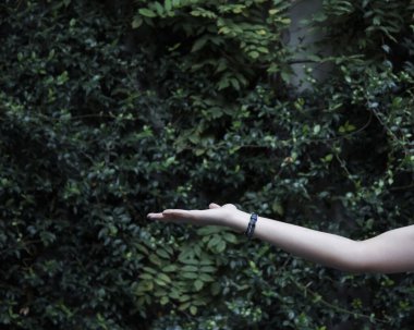 Kadın el ele tutuşması ve ürün veya nesne gösterilmesi, izole edilmiş arkaplan