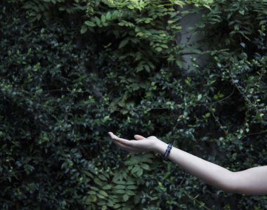 Kadın el ele tutuşması ve ürün veya nesne gösterilmesi, izole edilmiş doğal arkaplan