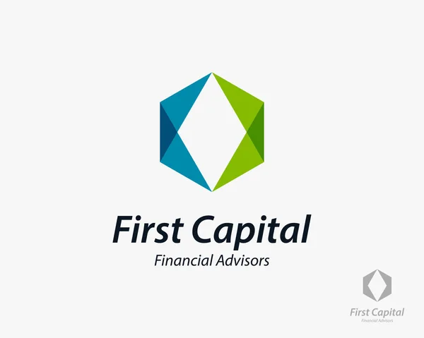 Financial Business Logo Design Vector Illustration — Stock Vector