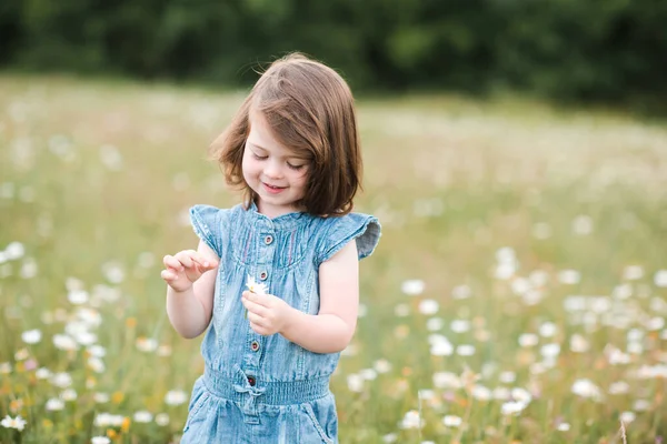 3岁的小女孩嬉笑着在草地上摆弄花朵 在大自然的背景下进行特写 夏天的季节童年 有选择的重点 — 图库照片