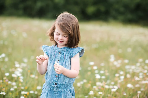 Lachend Baby Meisje Jaar Oud Spelen Met Bloemen Poseren Weide Stockfoto