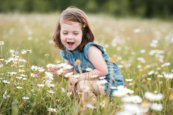 笑いの赤ちゃんの女の子2 3歳のカモミールの牧草地に座って楽しむことが屋外で花を拾う 幸せよ 子供の頃 夏のシーズン 選択的焦点 — ストック写真