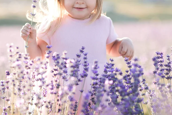Sorrindo Bebê Menina Anos Idade Campo Lavanda Segurando Flores Livre — Fotografia de Stock