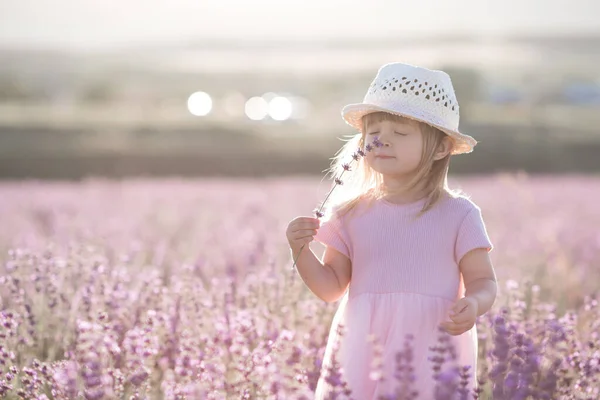 Funny Child Girl Year Old Smelling Lavender Flower Standing Meadow — Stock Photo, Image