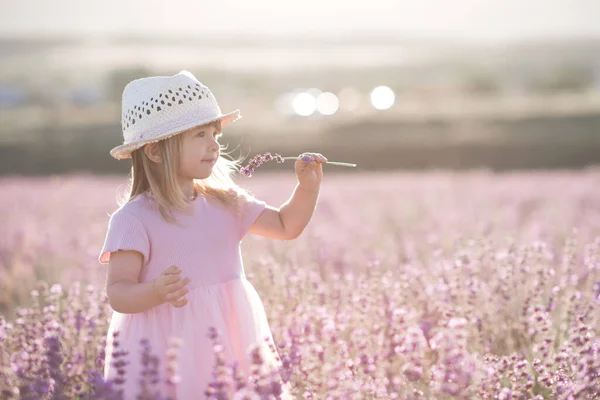 Pretty Baby Girl Year Old Smelling Lavender Flower Standing Field — Stock Photo, Image