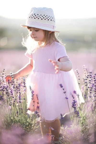 赤ちゃんの女の子1 2歳の帽子をかぶって スタイリッシュなドレスは日当たりの良い背景で屋外ラベンダー草原にポーズをとっています 子供の頃 — ストック写真