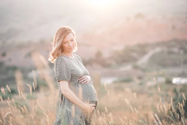 Pregnant Woman Wearing Dress Posing Outdoors Nature Background Motherhood Maternity — Stock Photo, Image