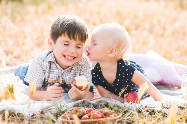 Bambina Baciare Bambino Ragazzo Fratello Avendo Pic Nic All Aperto — Foto Stock