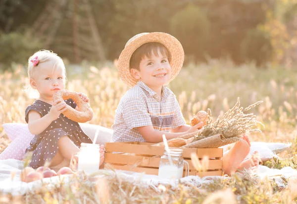 Ragazzo Ragazza Che Fanno Picnic All Aperto Sotto Luce Del — Foto Stock