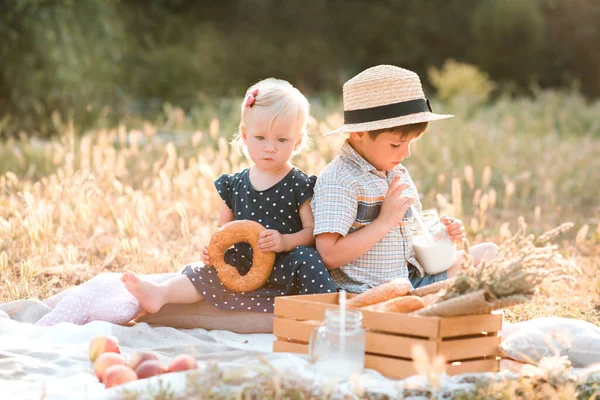 Des Enfants Mignons Pique Niquent Extérieur Heure Été Enfance — Photo