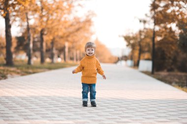 Güz parkında yürürken örgü örülmüş sarı kazak giyen komik bir kız çocuğu. Kameraya bakıyorum. Sonbahar sezonu. Çocukluk. 