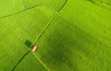 Jakarta Endonezya - 5 Haziran 2020: Jakarta, BNI Tower Jakarta Urban City of Endonezya 'dan havadan görüş. Şehir manzarası Endonezya, Jakarta 'nın Simgesi