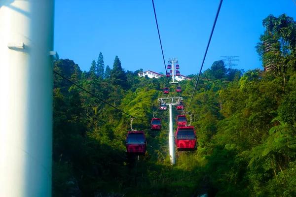 Luftaufnahme Von Seilbahn Über Bergwald Sonnigem Tag — Stockfoto