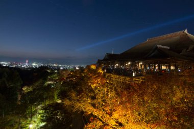 Japonya 'nın Osaka kentindeki antik tapınakta ziyaretçilerin hava görüntüleri.