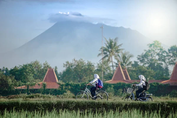Bali Indonázia 2020 Január Ázsiai Nők Bicikliznek Rizsföldeken — Stock Fotó